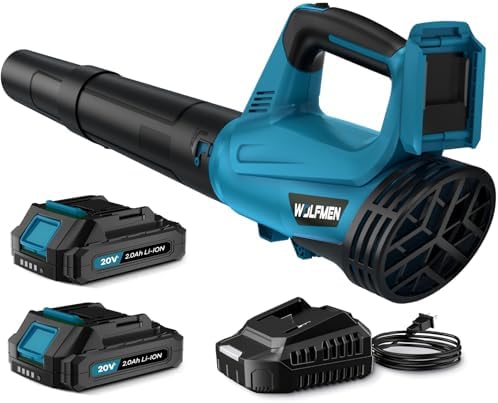 Leaf Blower with 2 Batteries (B0DJJB7WS9)